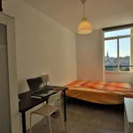 Rent a room in Valencia