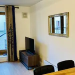 Rent 1 bedroom apartment of 45 m² in dublin