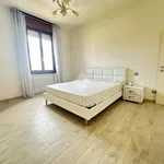 Rent 4 bedroom apartment of 20 m² in Modena