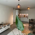 Rent 1 bedroom apartment in Leuven