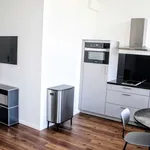 Rent 1 bedroom apartment of 50 m² in berlin