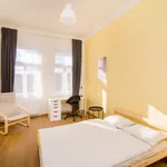 Rent 5 bedroom apartment in Prague