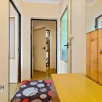 Rent 2 bedroom apartment in Rychnov nad Kněžnou