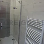 Rent 1 bedroom apartment of 36 m² in Brno