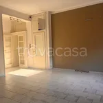 Rent 4 bedroom apartment of 120 m² in Pavia