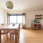 Rent 3 bedroom apartment of 125 m² in Lisbon