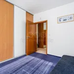 Rent 3 bedroom apartment of 82 m² in Capital City of Prague