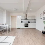 Pronajměte si 1 ložnic/e byt o rozloze 55 m² v Prague