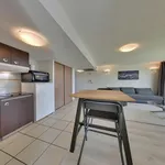 Rent 1 bedroom apartment in IDRON