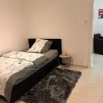 Rent 1 bedroom apartment of 50 m² in Essen