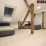 Rent 1 bedroom apartment of 50 m² in Brno