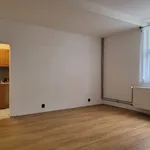 Rent 1 bedroom apartment in Teplice