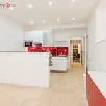 Rent 1 bedroom apartment in Praha