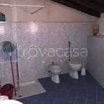 Rent 3 bedroom house of 80 m² in Menfi