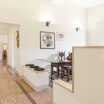 Rent 1 bedroom apartment of 50 m² in bologna