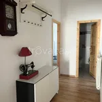 Rent 3 bedroom apartment of 70 m² in Fabrica di Roma