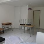 Rent 1 bedroom apartment of 28 m² in Cholet