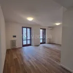 Rent 4 bedroom apartment of 130 m² in Milano