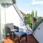 Rent 1 bedroom apartment of 50 m² in berlin