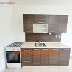 Rent 2 bedroom apartment of 38 m² in Havířov