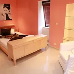 Huur 1 slaapkamer appartement van 33 m² in Brussels