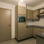 Rent 1 bedroom apartment in Westerlo (Westerlo)