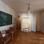 Rent a room of 120 m² in Prague