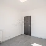 Rent 1 bedroom house of 287 m² in Prague