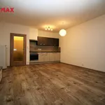 Rent 1 bedroom apartment of 38 m² in Capital City of Prague