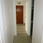 Rent 3 bedroom apartment of 59 m² in TOULOUSE