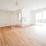 Rent 4 bedroom apartment of 135 m² in Appiano sulla strada del vino