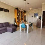 Rent 3 bedroom apartment of 75 m² in Latina