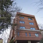 Rent 9 bedroom apartment in Madrid