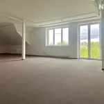 Rent 3 bedroom apartment of 130 m² in České Budějovice