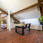 Rent 1 bedroom apartment of 45 m² in Nîmes