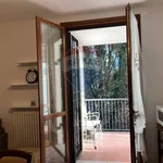 Rent 2 bedroom apartment of 60 m² in Reggio nell'Emilia