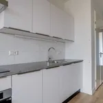 Huur 1 slaapkamer appartement van 37 m² in Utrecht