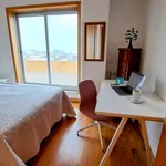 Rent 3 bedroom apartment of 72 m² in Matosinhos