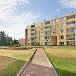 Rent 2 bedroom apartment of 85 m² in Roermond