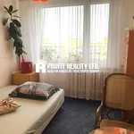 Rent 12 bedroom house in Prague