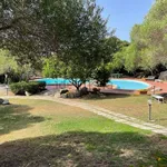 Rent 2 bedroom apartment of 60 m² in Santa Teresa Gallura