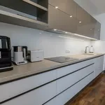 Pronajměte si 2 ložnic/e byt o rozloze 120 m² v Prague