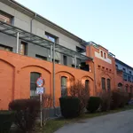 Rent 3 bedroom apartment of 68 m² in Graz