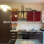 Rent 2 bedroom apartment of 50 m² in Villanova de Bellis