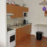 Rent 1 bedroom apartment of 48 m² in Brno