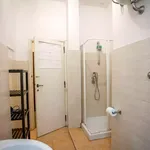 Rent 6 bedroom apartment in Rome