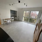 Appartement de 28 m² avec 1 chambre(s) en location à WISSEMBOURG