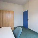 Kamer van 250 m² in brussels