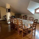 Rent 3 bedroom apartment of 95 m² in Rivalta di Torino