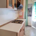 Rent 1 bedroom apartment of 40 m² in Cinisello Balsamo